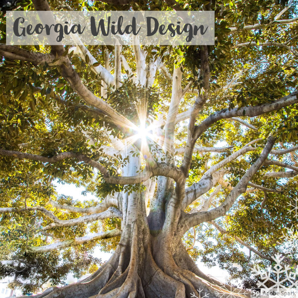 Meet your Posher, Georgia